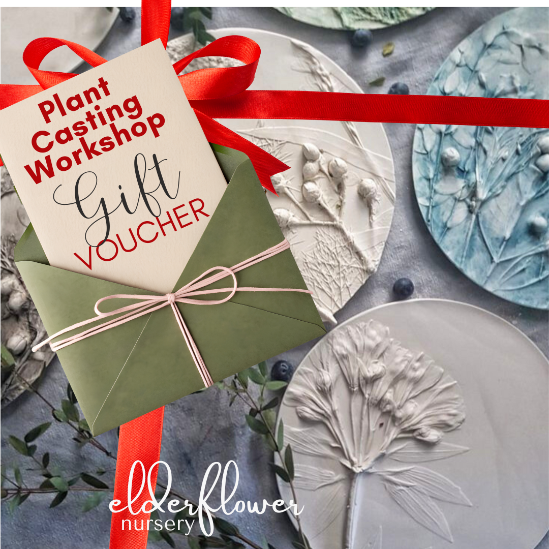 Plant Casting Workshop Gift Card