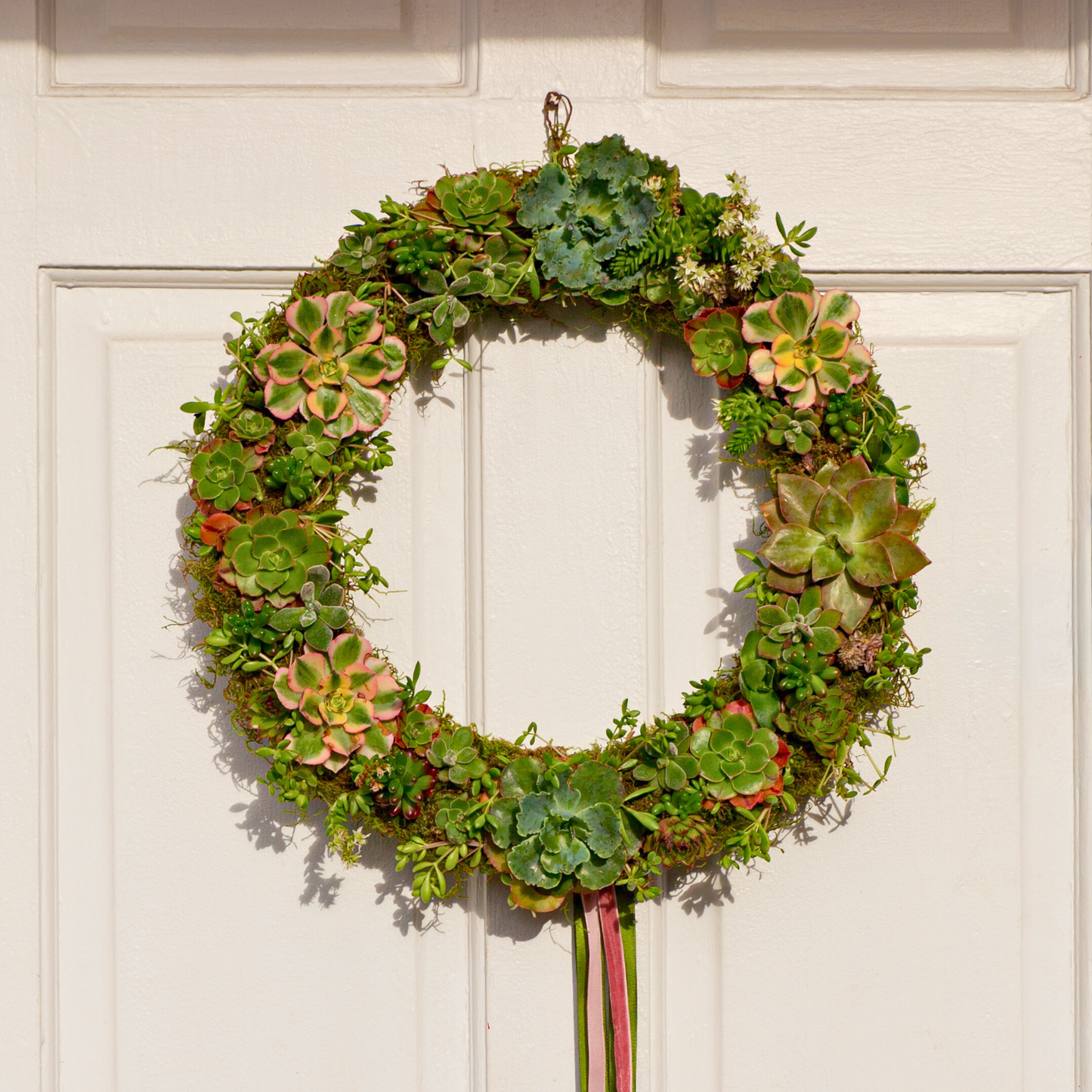 Succulent Wreath - (FREE SHIPPING)