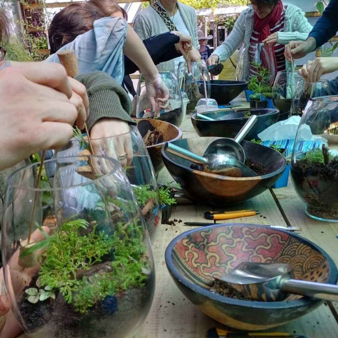 Mikro Orchid Terrarium Workshop | Sat, 15 Mar  | Plumstead - Elderflower Nursery | 13:00 pm