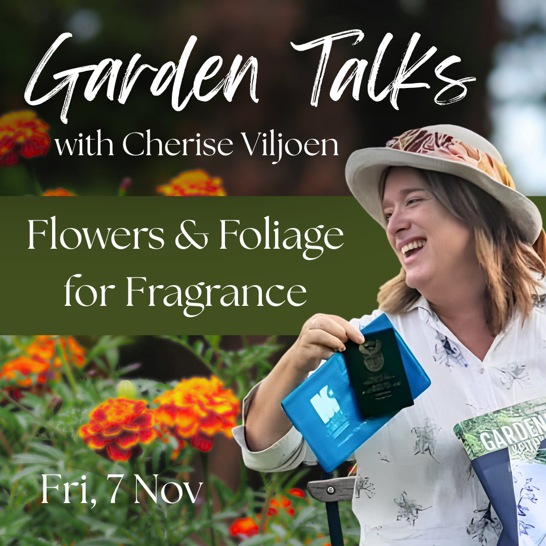 FREE Garden talk: Flowers and Foliage for Fragrance | Fri, 7 Nov  | Wynberg - Elderflower Creative