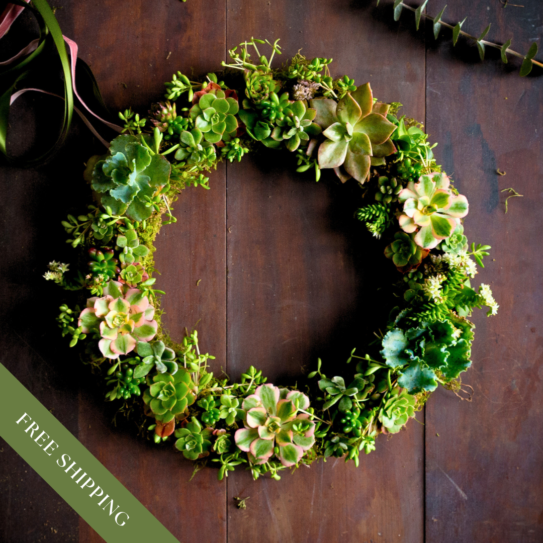 Succulent Wreath - FREE SHIPPING!