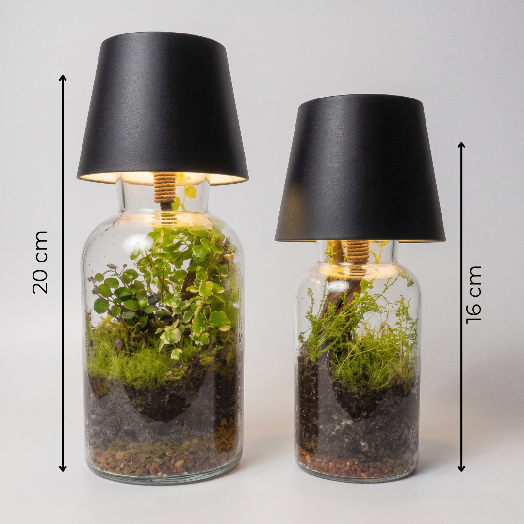 Terrarium Lamp Kit