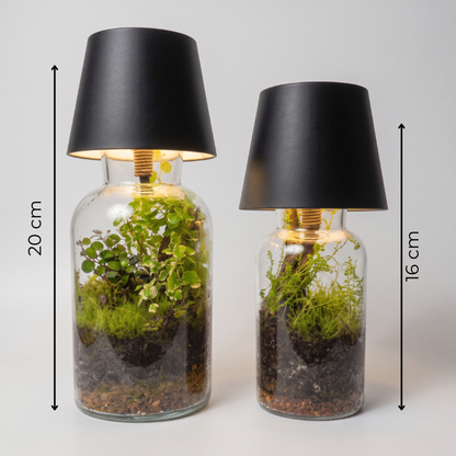 Terrarium Lamp Kit
