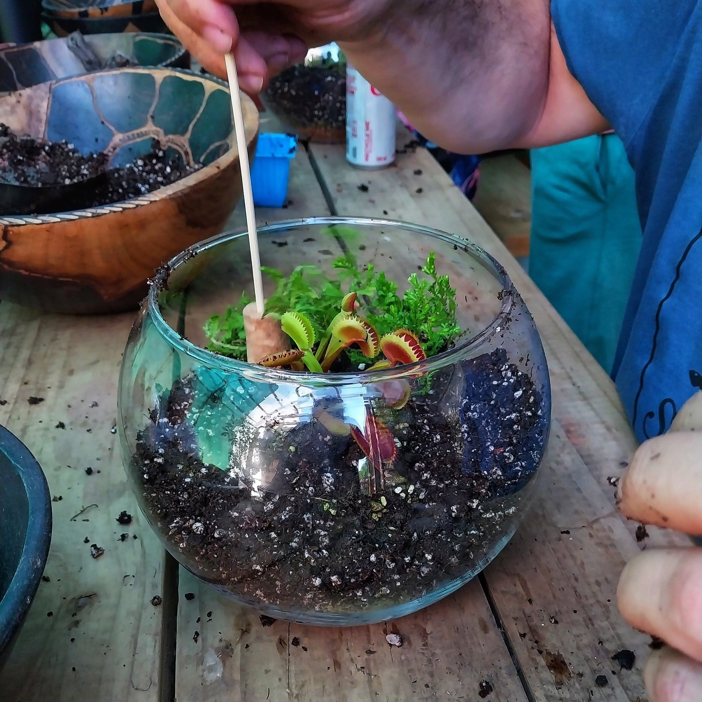 Carniverous Terrarium Workshop | Sat, 19 Sep  | Wynberg - Elderflower Creative
