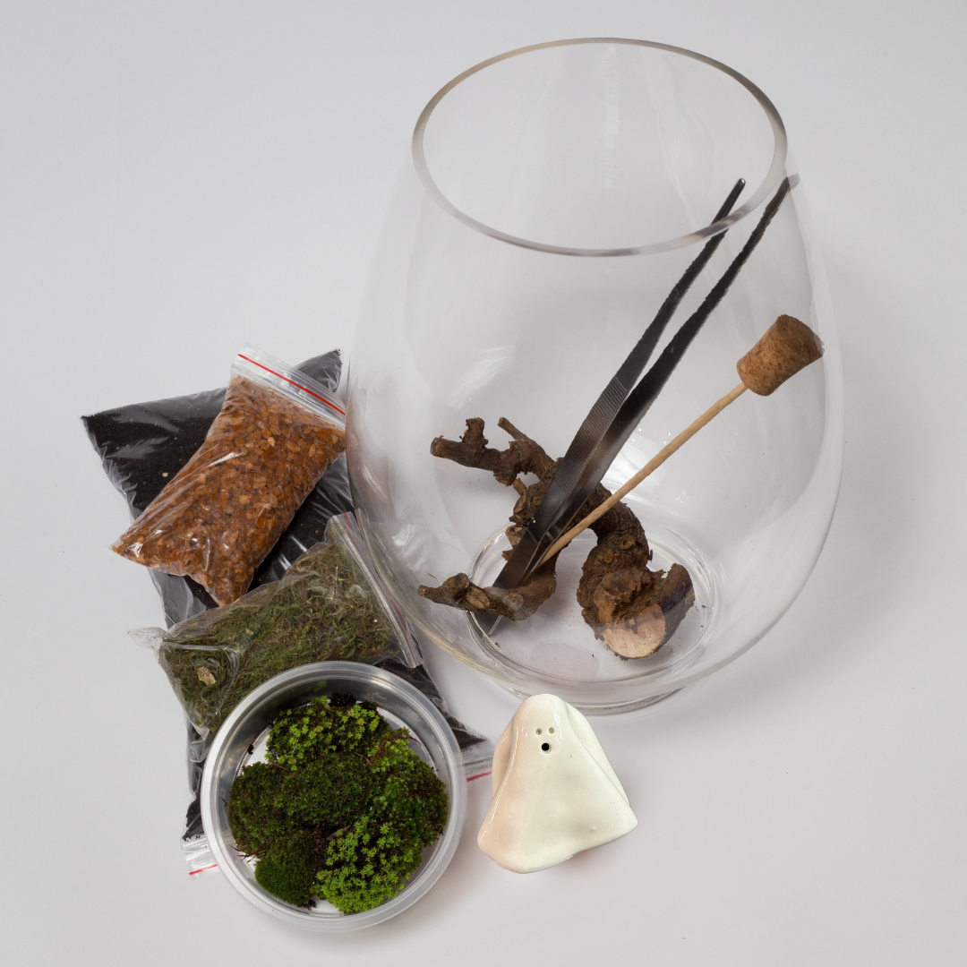 Halloween Terrarium DIY Kit - Limited edition