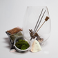 Halloween Terrarium DIY Kit - Limited edition