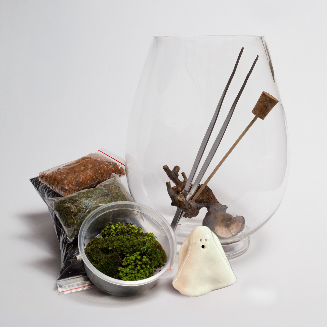 Halloween Terrarium DIY Kit - Limited edition