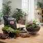 Mikro Orchid Terrarium Kit