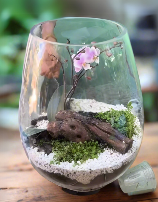 Orchid Terrarium Workshop & Light Brunch | Wed, 2 Jul  | Wynberg - Elderflower Creative | 10:00 am