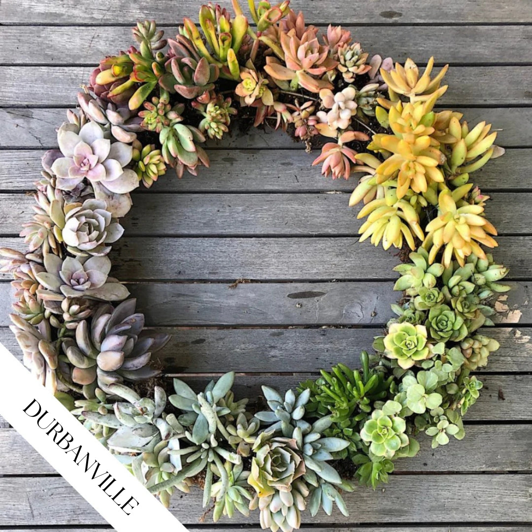 Succulent Wreath Workshop | Sat, 29 Nov  | Durbanville - Rust & Vrede Gallery