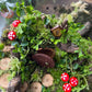 Hobbit Terrarium Workshops 2026 | Wynberg - Elderflower Creative