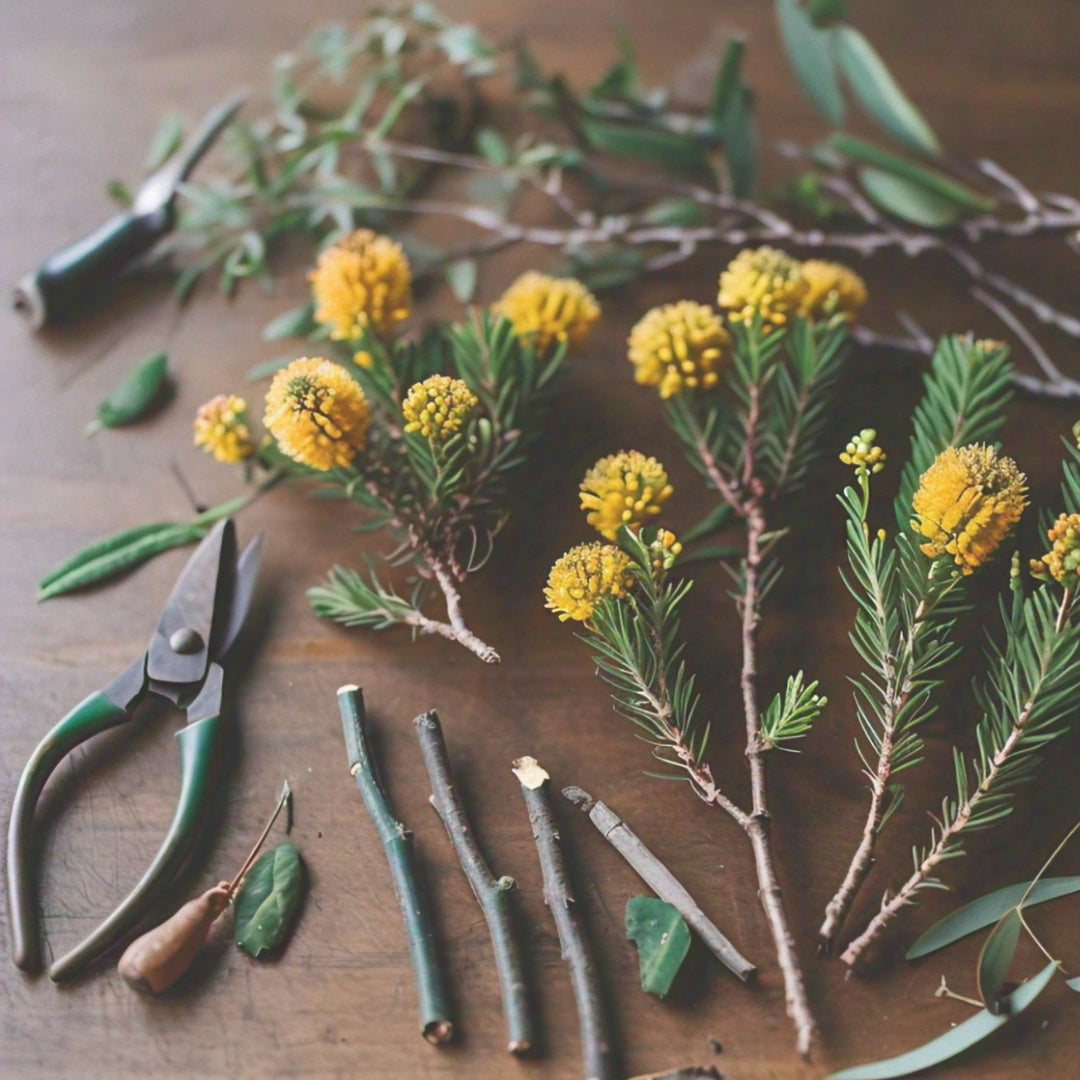 Success with Seeds Workshops : Fynbos Edition 2026 | Wynberg - Elderflower Creative