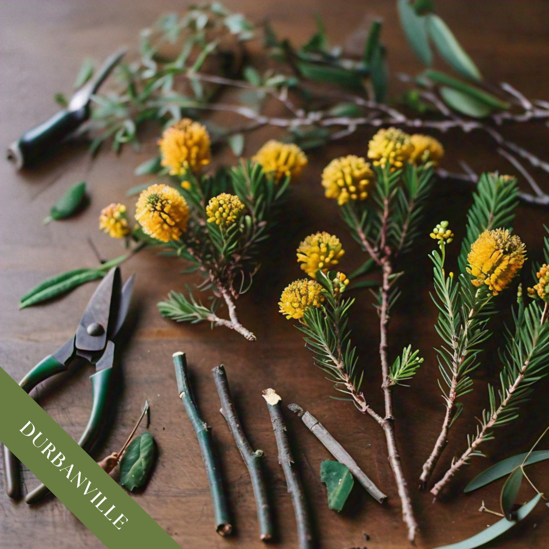 Fynbos and Hardwood Propagation Workshop | Sat, 24 Oct  | Durbanville - Rust & Vrede Gallery