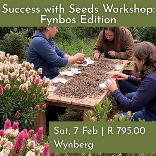 Success with Seeds Workshop: Fynbos Edition | Sat, 7 Feb  | Wynberg - Elderflower Creative