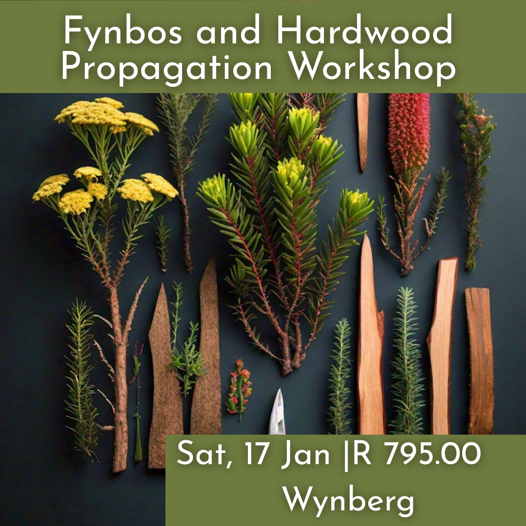 Fynbos and Hardwood Propagation Workshop | Sat, 17 Jan  | Wynberg - Elderflower Creative