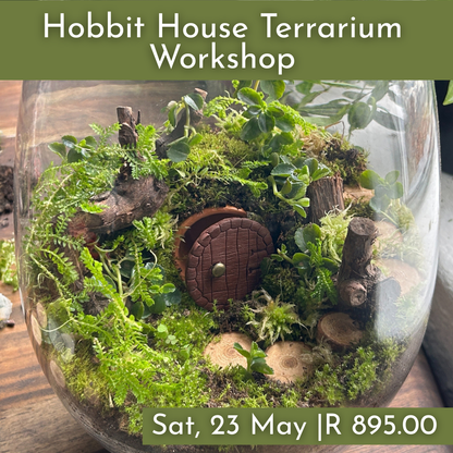 Hobbit Terrarium Workshops 2026 | Wynberg - Elderflower Creative