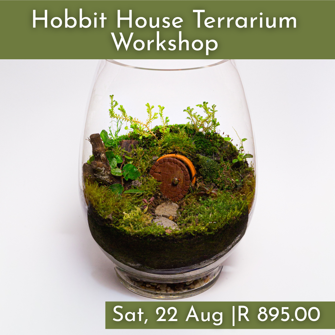 Hobbit Terrarium Workshops 2026 | Wynberg - Elderflower Creative