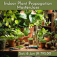 Indoor Plant Propagation Masterclasses 2026 | Wynberg - Elderflower Creative