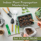 Indoor Plant Propagation Masterclasses 2026 | Wynberg - Elderflower Creative