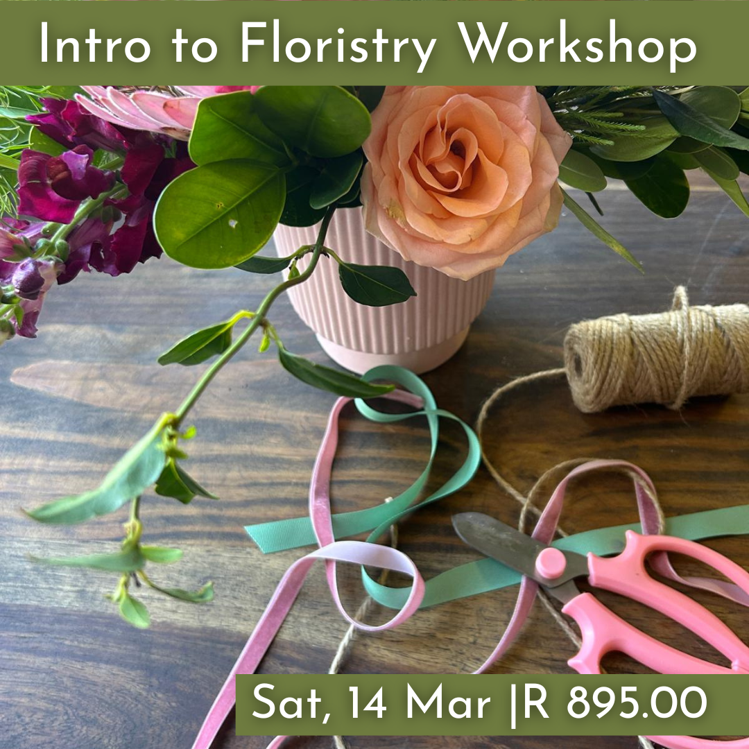 Intro to Floristry Workshops 2026 | Wynberg - Elderflower Creative