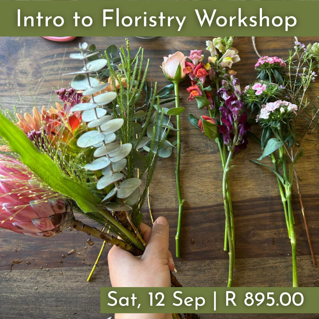 Intro to Floristry Workshops 2026 | Wynberg - Elderflower Creative