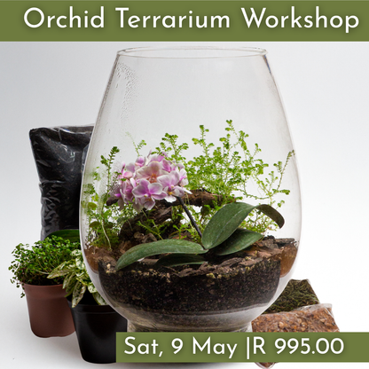 Orchid Terrarium Workshops 2026 | Wynberg - Elderflower Creative