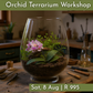 Orchid Terrarium Workshops 2026 | Wynberg - Elderflower Creative