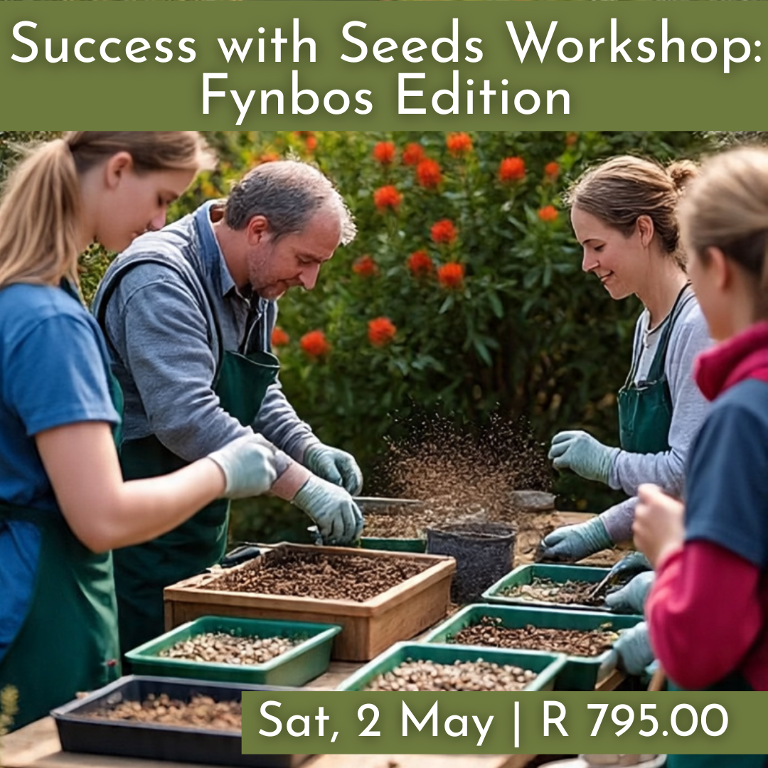 Success with Seeds Workshops : Fynbos Edition 2026 | Wynberg - Elderflower Creative