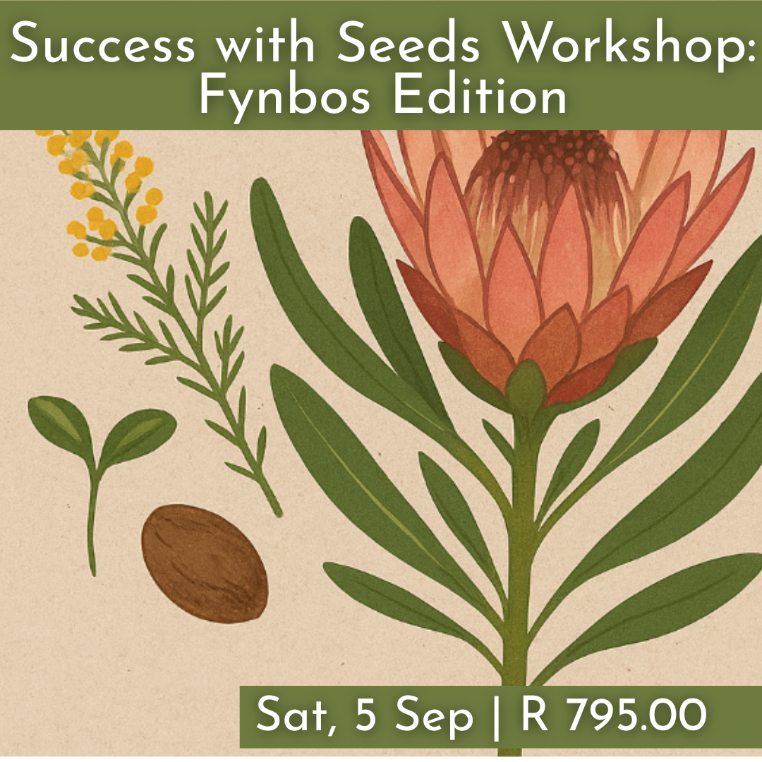 Success with Seeds Workshops : Fynbos Edition 2026 | Wynberg - Elderflower Creative