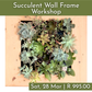 Succulent Wall Frame Workshops 2026 | Wynberg - Elderflower Creative