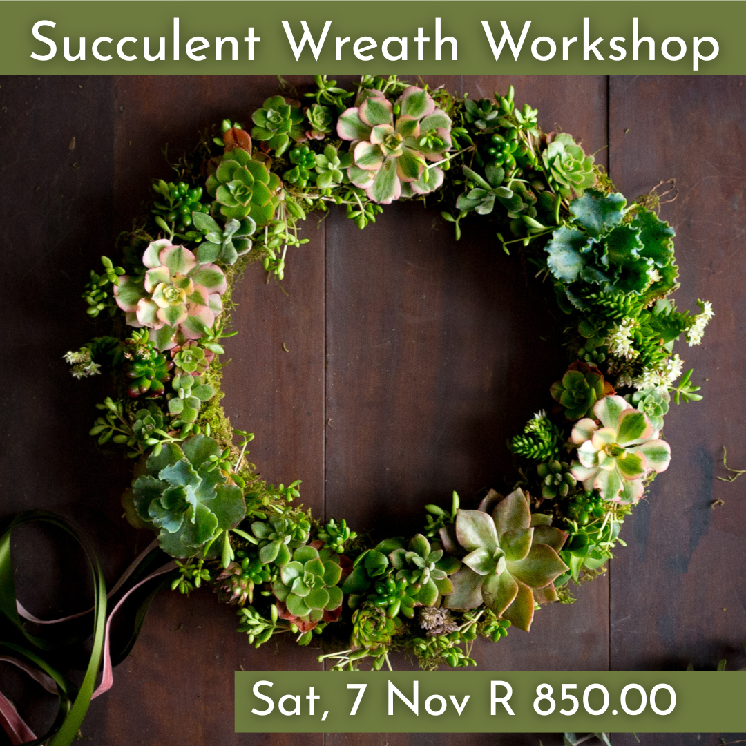 Christmas Wreath Workshops 2026 | Wynberg - Elderflower Creative