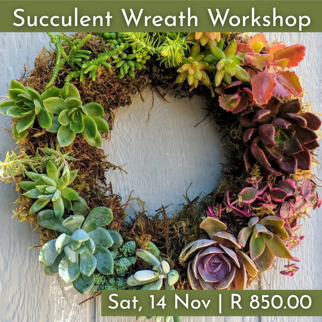 Christmas Wreath Workshops 2026 | Wynberg - Elderflower Creative