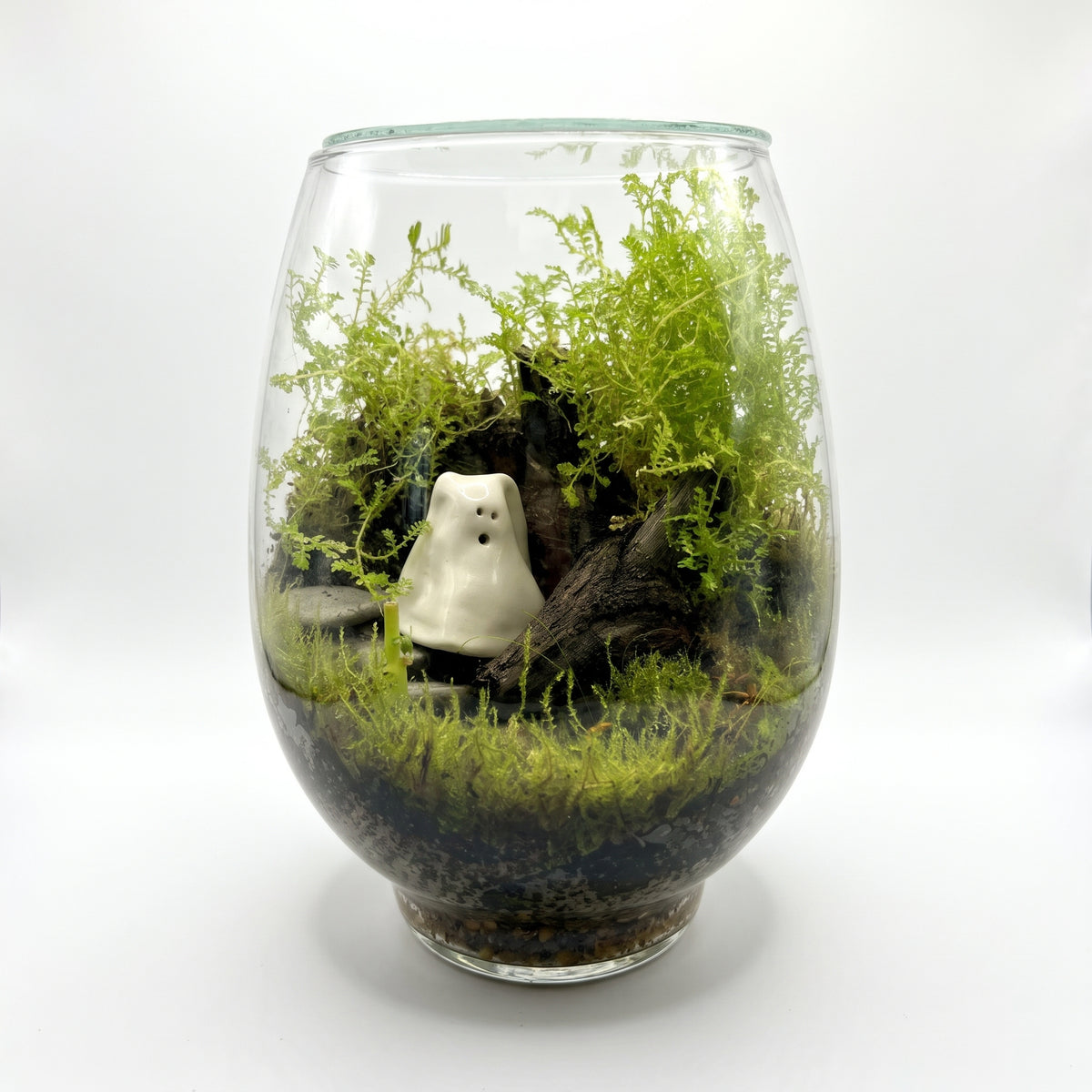 Halloween Terrarium DIY Kit - Limited edition
