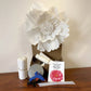 Giant Paper Flower DIY Kit  - White