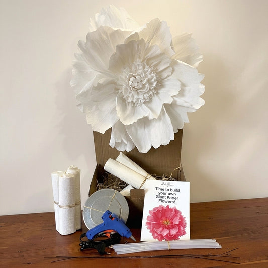 Giant Paper Flower DIY Kit  - White