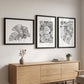 Botanical Line Art Prints (A3)