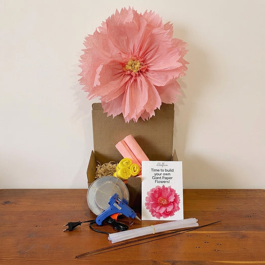 Giant Paper Flower DIY Kit  - Blush