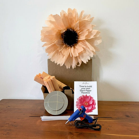 Giant Paper Flower DIY Kit  - Peach