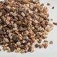 Terrarium Gravel
