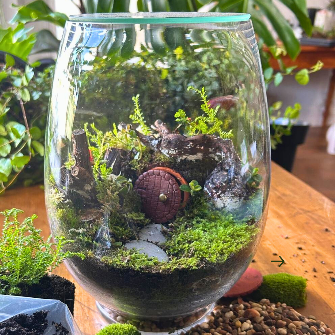 Hobbit House Terrarium Kit