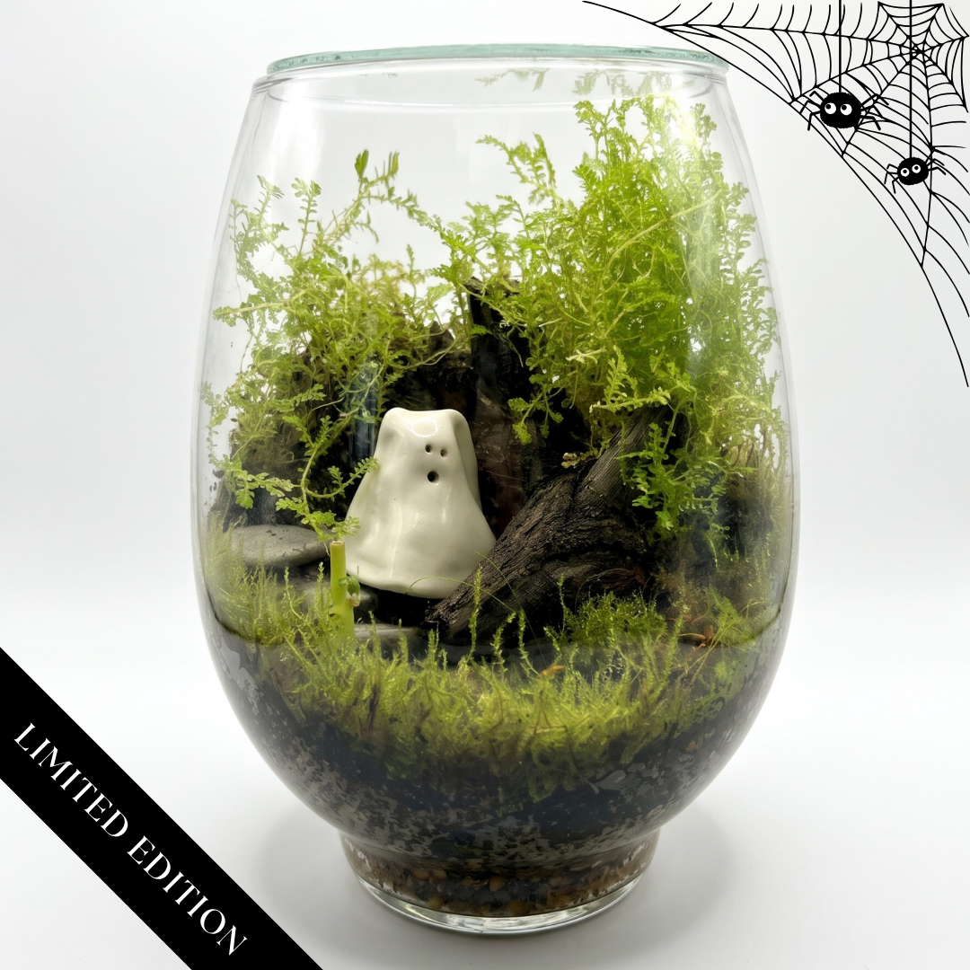 Halloween Terrarium DIY Kit - Limited edition