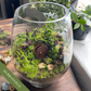 Hobbit House Terrarium Workshop | Sat, 3 Oct  | Durbanville - Rust-en-Vrede Gallery