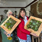 Succulent Wall Frame Workshops 2026 | Wynberg - Elderflower Creative