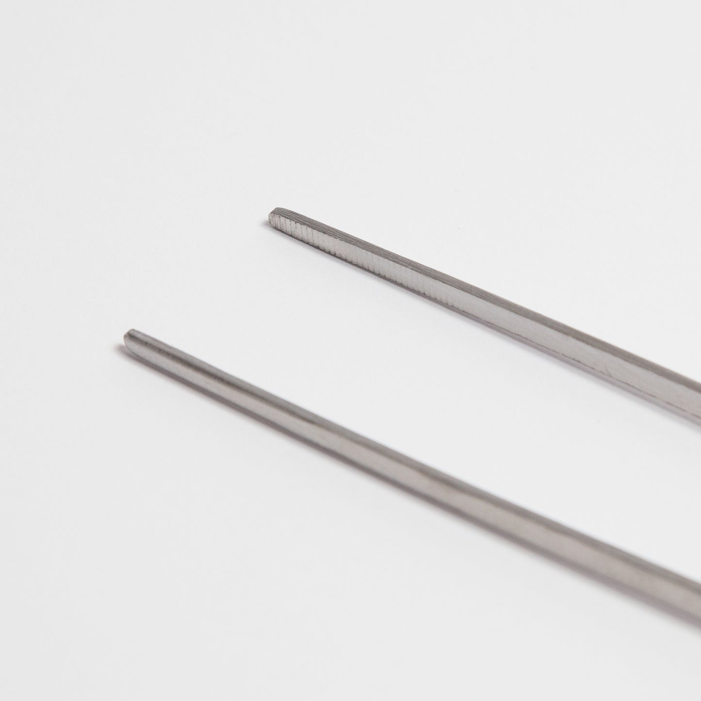 Terrarium Tweezer, straight tip - 30cm