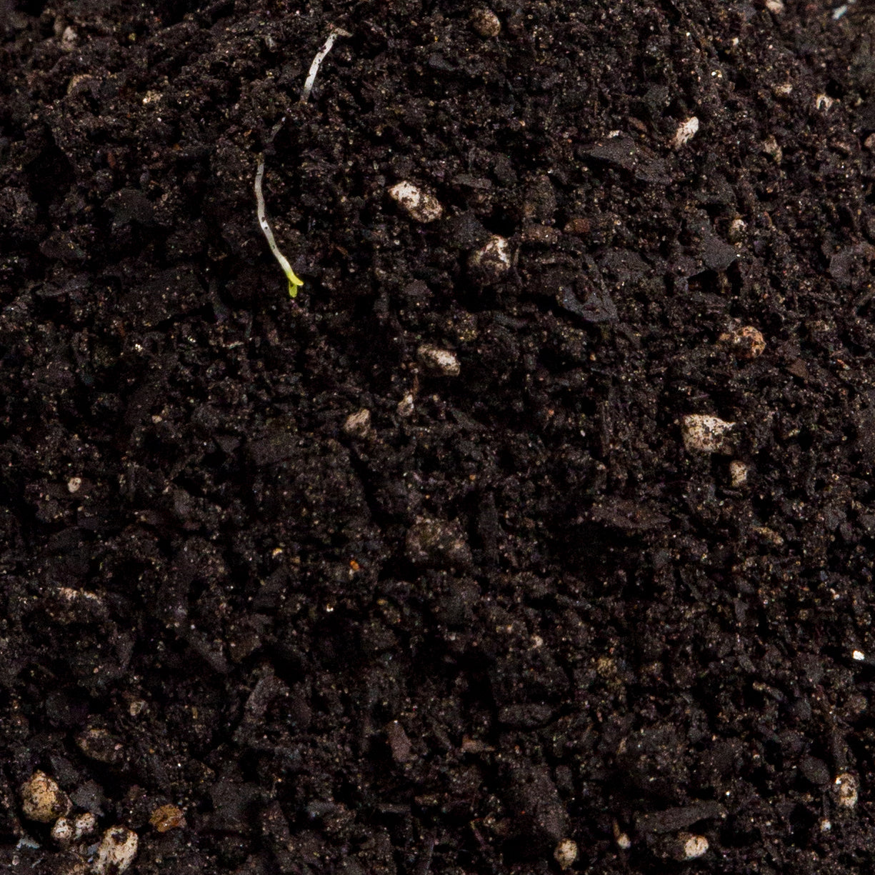 Terrarium Soil Mix