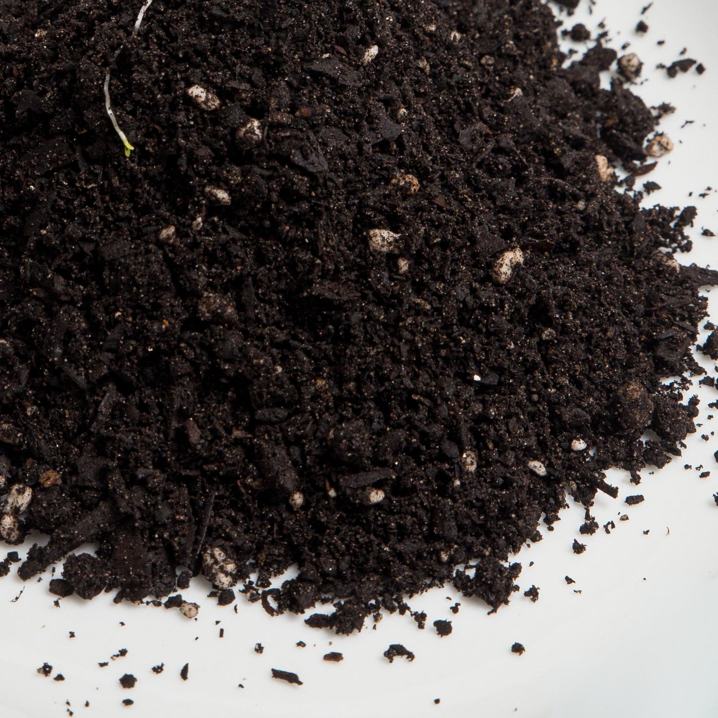Terrarium Soil Mix