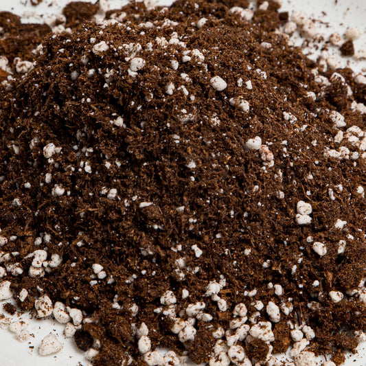 Carniverous Terrarium Soil