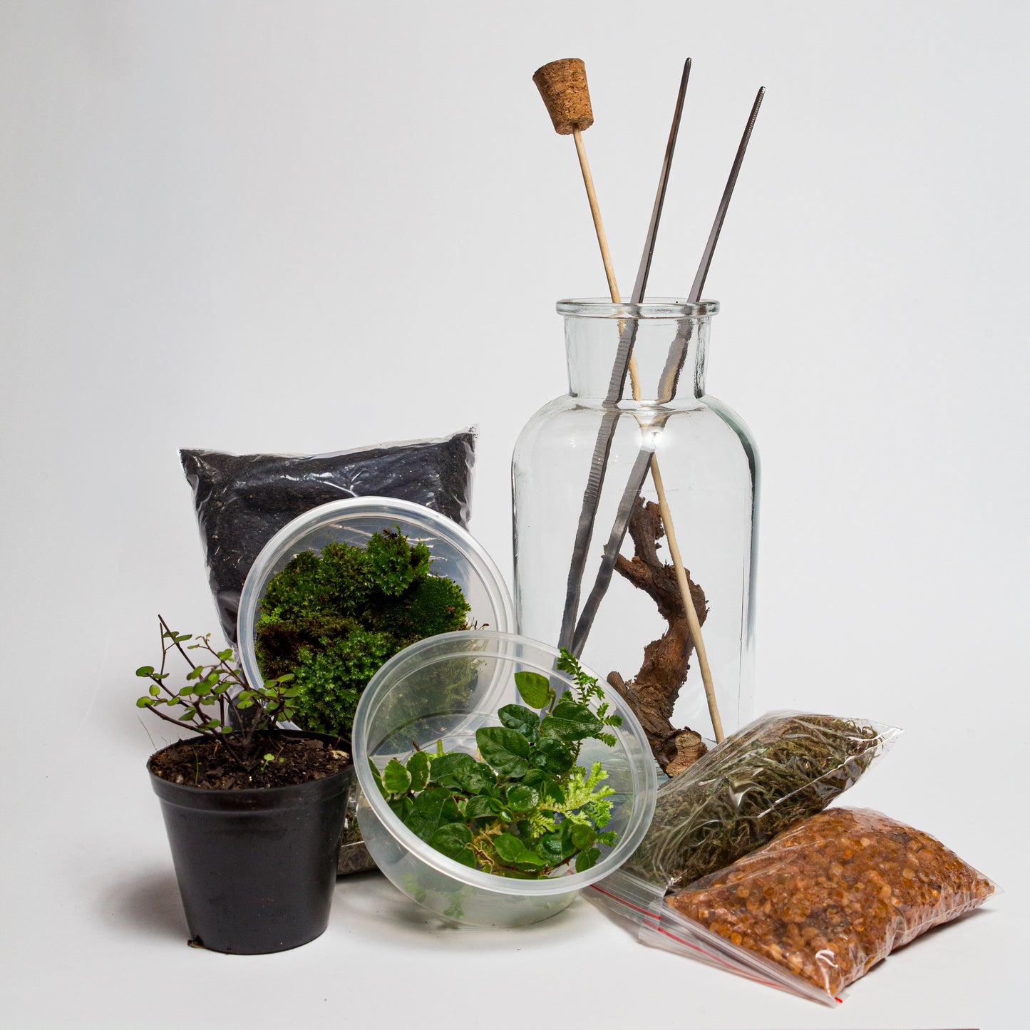 Bottle Terrarium Kit