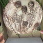 Botanical Relief Art Workshop | Sat, 31 Jan 2026  | Durbanville - Rust & Vrede Gallery