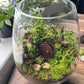 Hobbit Terrarium Workshops 2026 | Wynberg - Elderflower Creative